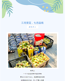 “桃”醉一夏丨太萌的桃子成熟啦