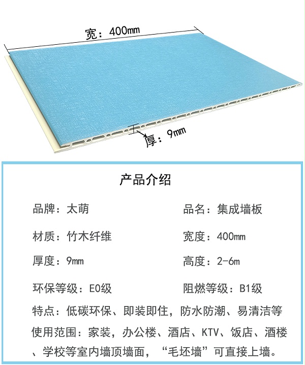 墙板TG2032 (4)