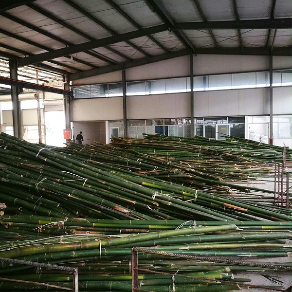 竹木纤维